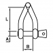 D Shackle Twisted M12